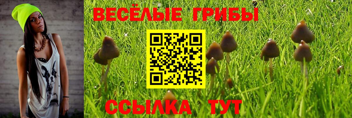 Псилоцибиновые грибы Magic Shrooms Шахты